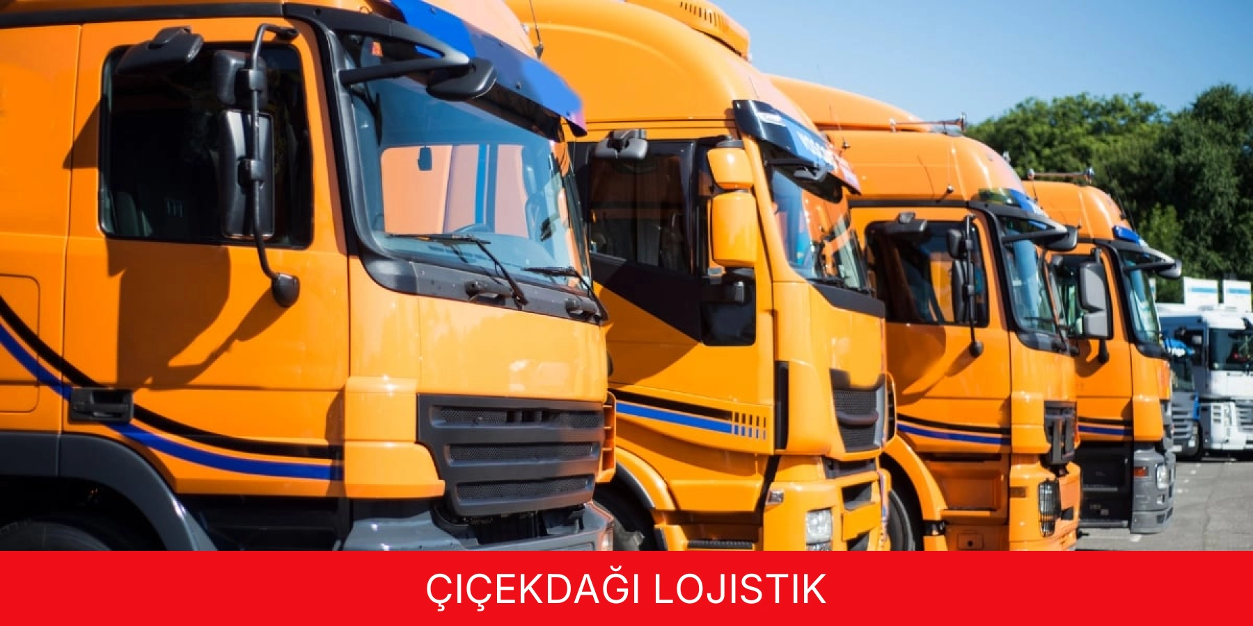 Çiçekdağı Lojistik